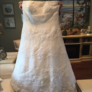 Vera wang wedding dress and veil